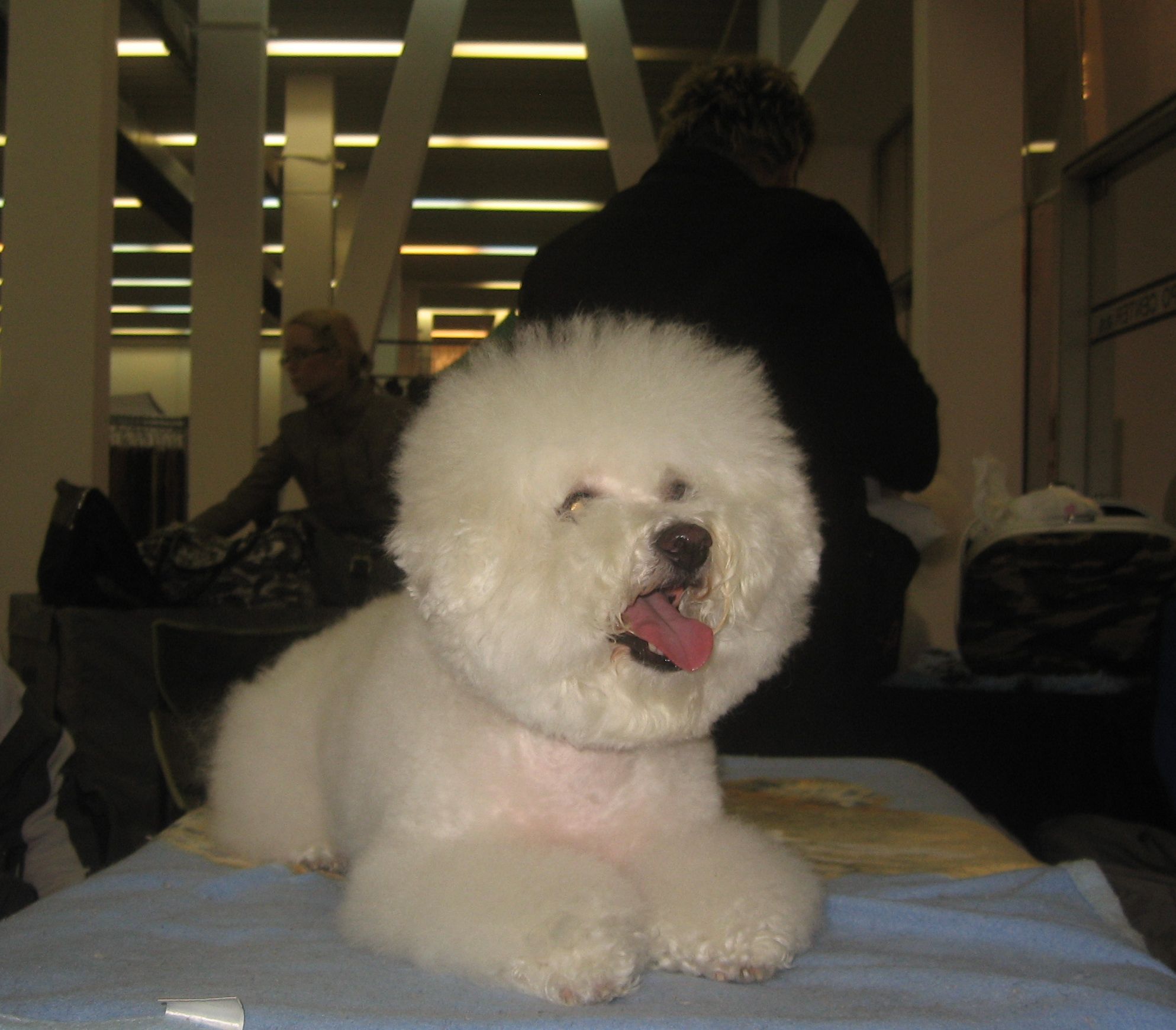 trenčín 22. 1. 2011 002o