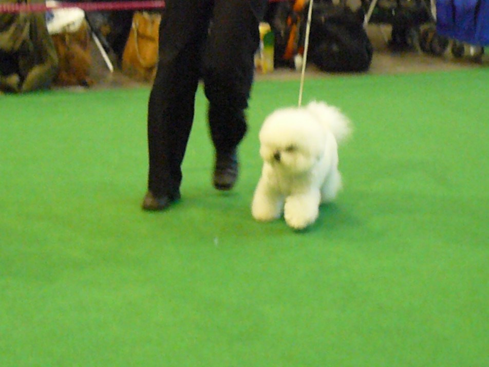 DUOCACIB-Brno-050211-140