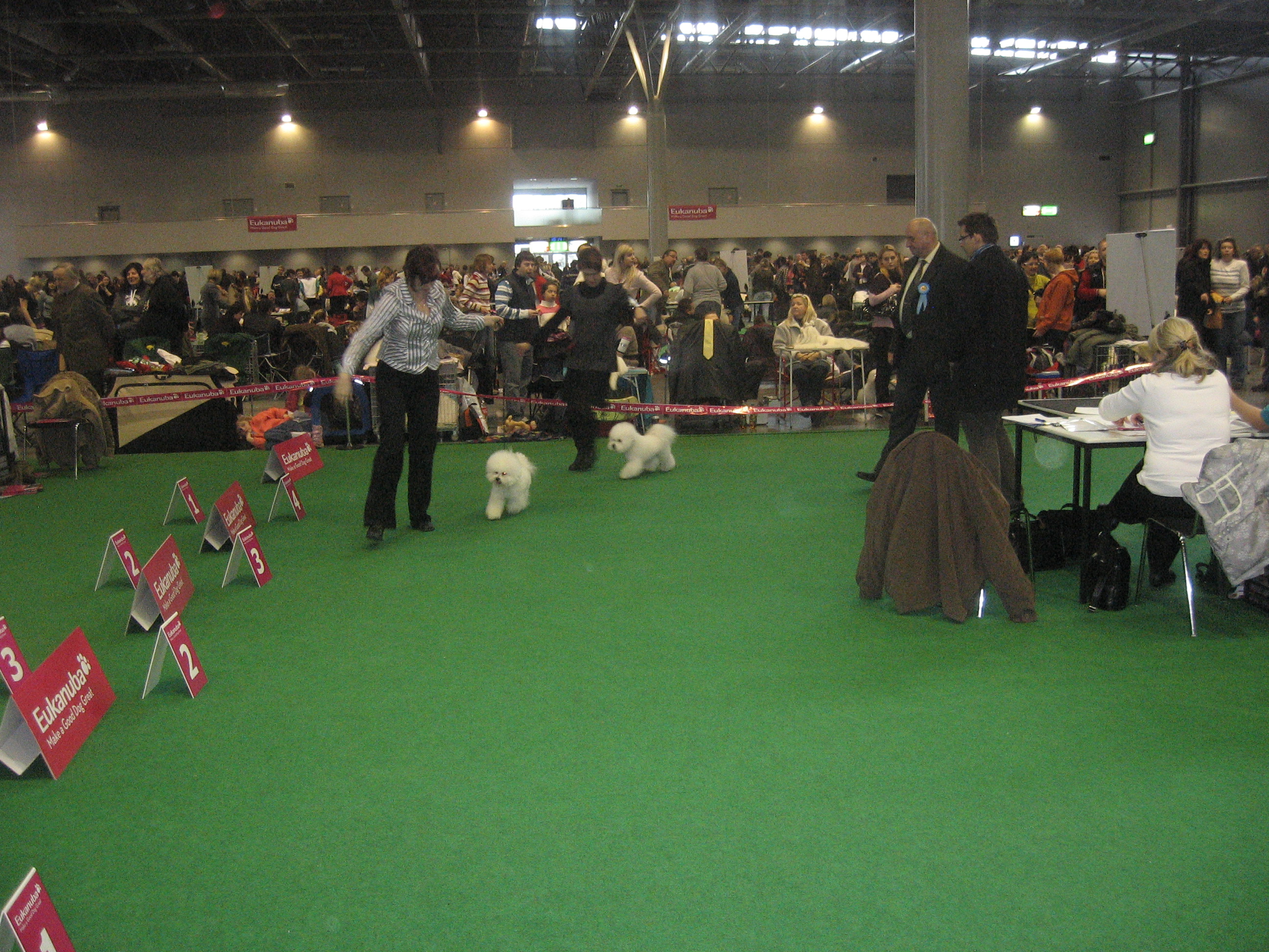 duo cacib brno 5. 6. 2. 2011 098
