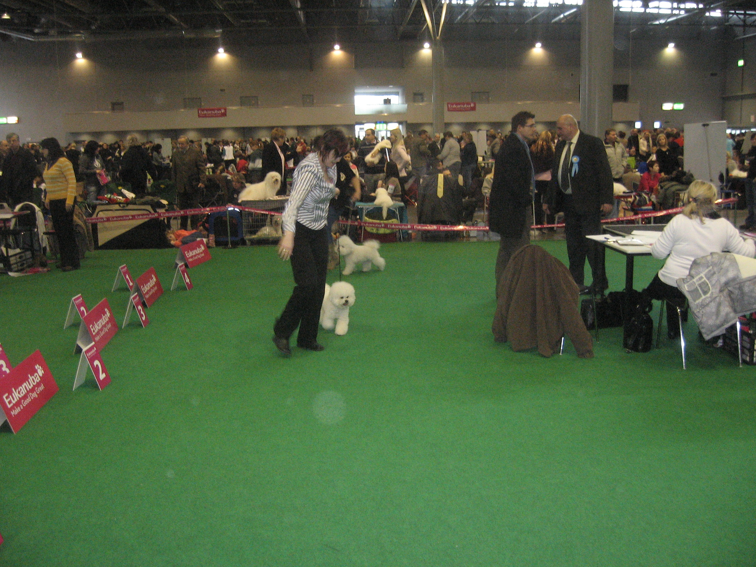 duo cacib brno 5. 6. 2. 2011 099