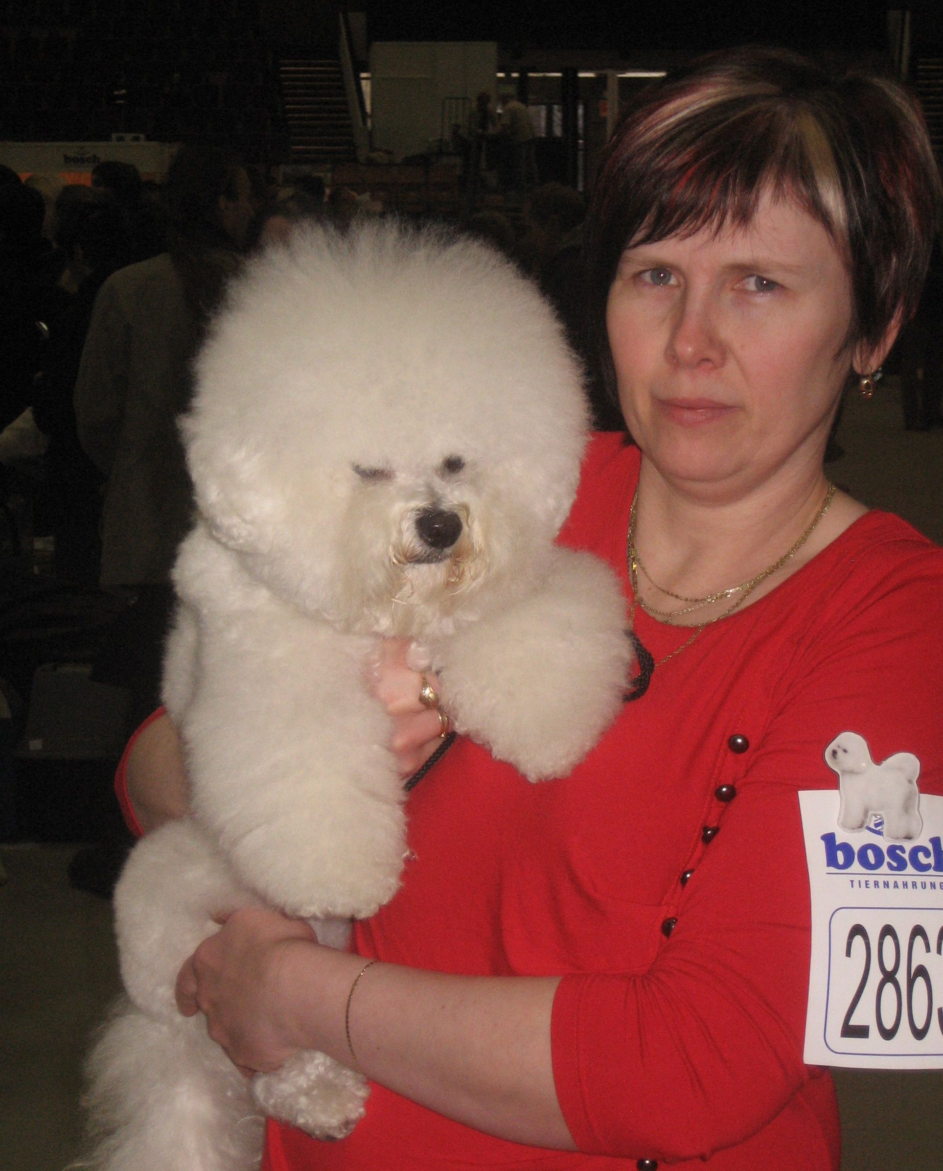 CACIB Katowice 20. 3. 2011 039o