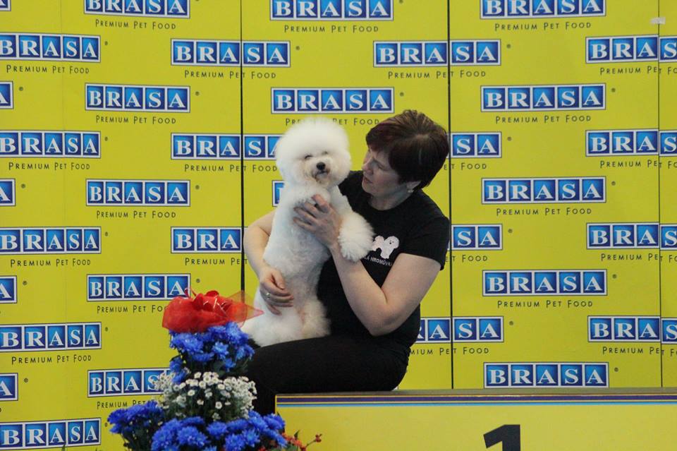 1543377_815592008456775_197795170_n